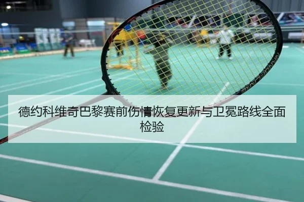 德约科维奇巴黎赛前伤情恢复更新与卫冕路线全面检验